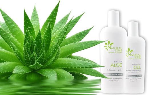 Unleash the Power of Aloe Vera