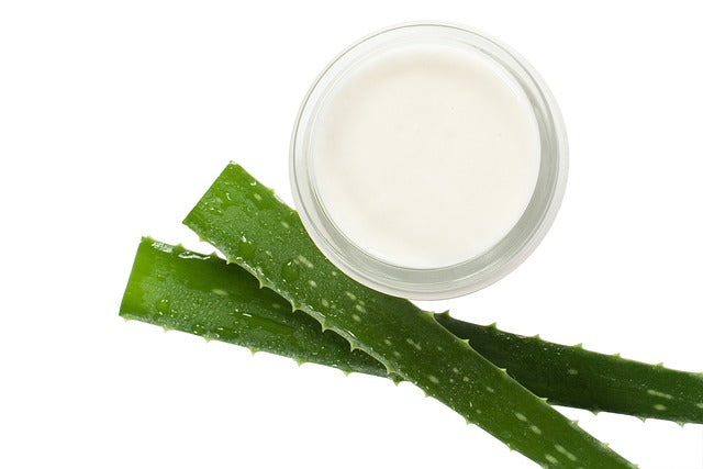 Advantage Of Aloe Lotion For Daily Use